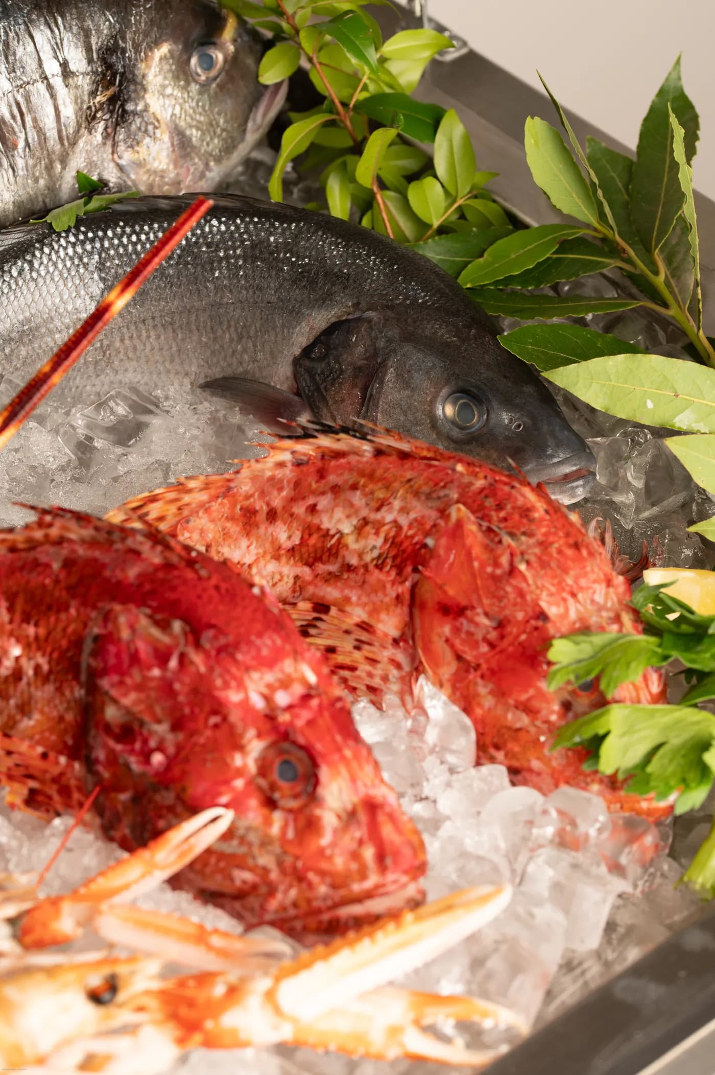 Ristorante Aria — Villasimius